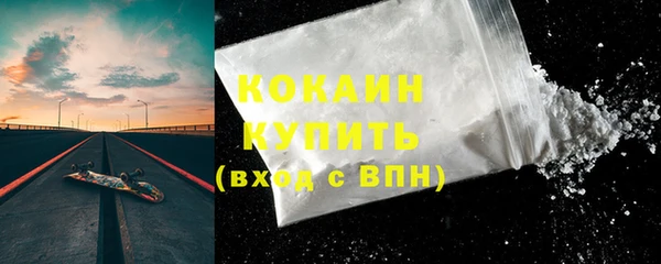 Альфа ПВП Бородино