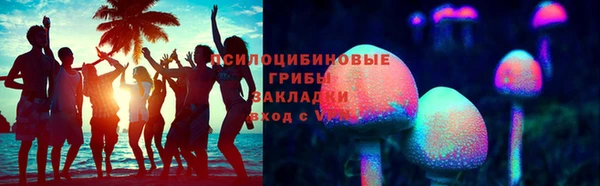 СК Бронницы