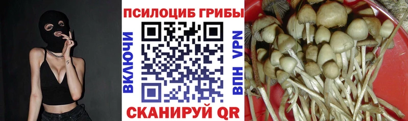 купить наркоту  Пермь  Галлюциногенные грибы Magic Shrooms 